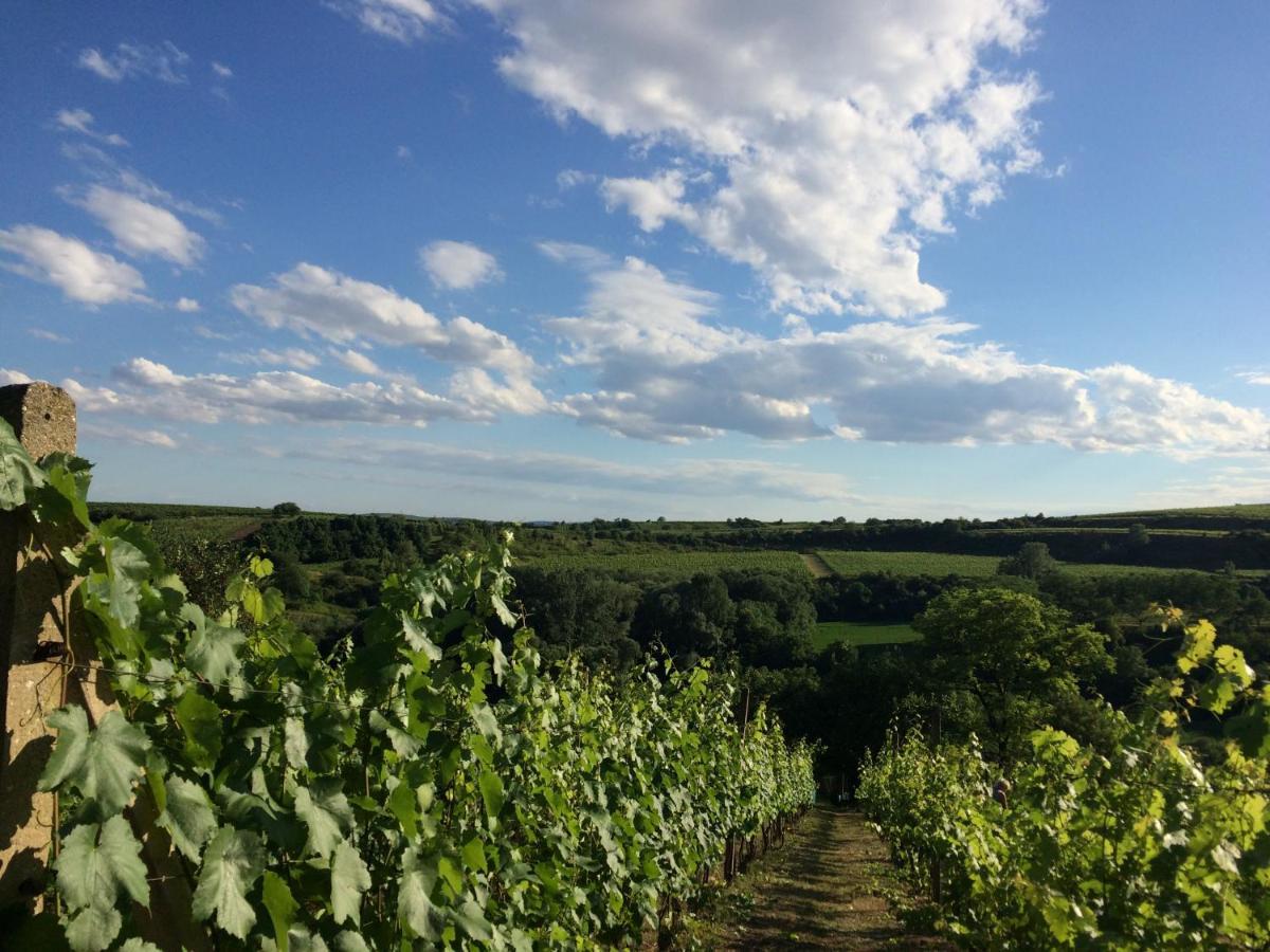 HustopečeSklep U Hrabalu公寓式酒店 外观 照片