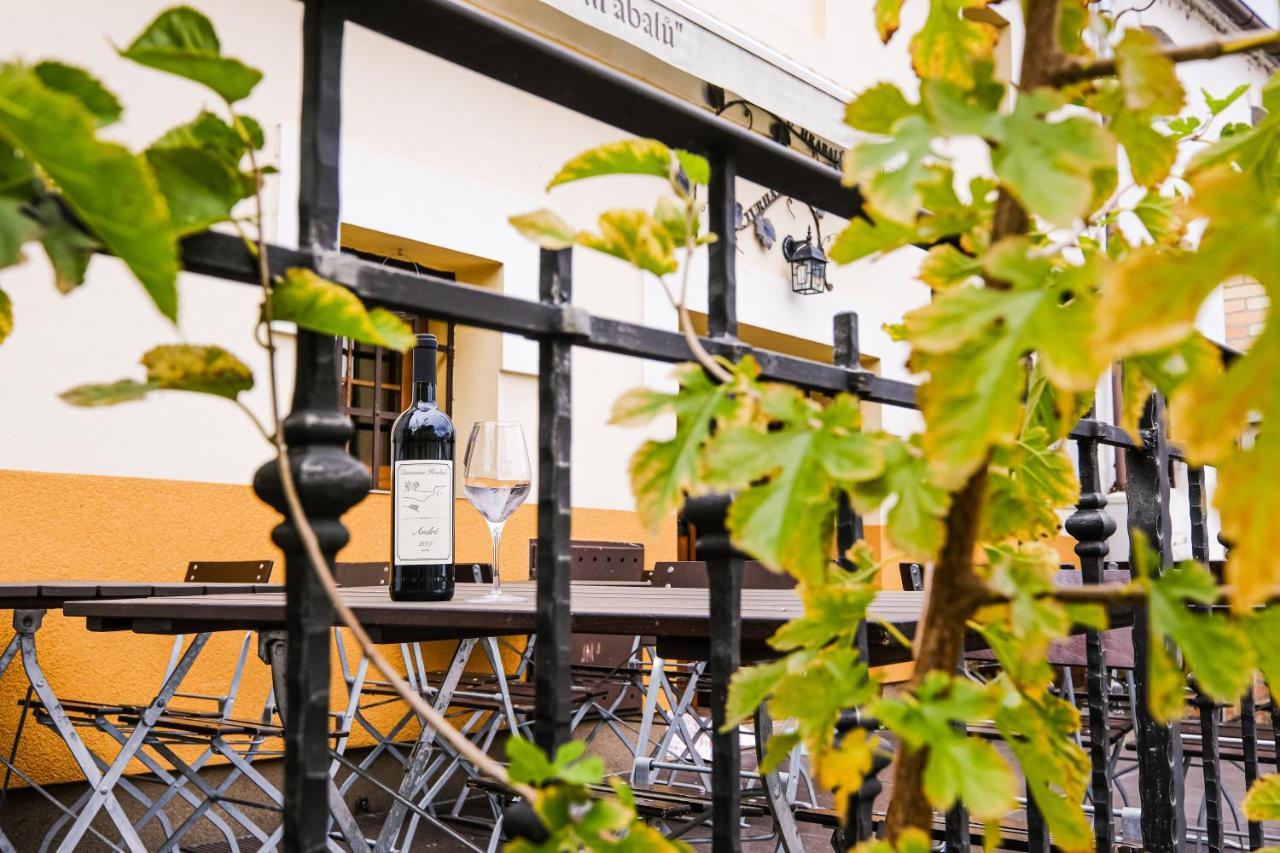 HustopečeSklep U Hrabalu公寓式酒店 外观 照片